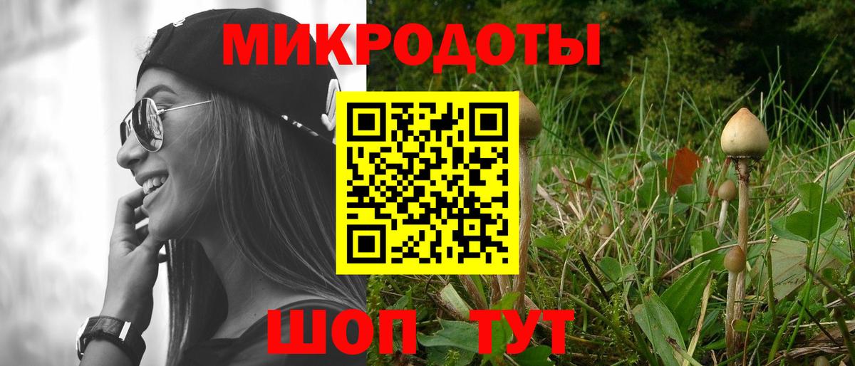 наркошоп  Псилоцибиновые грибы мицелий  Вход с VPN  Чистополь 
